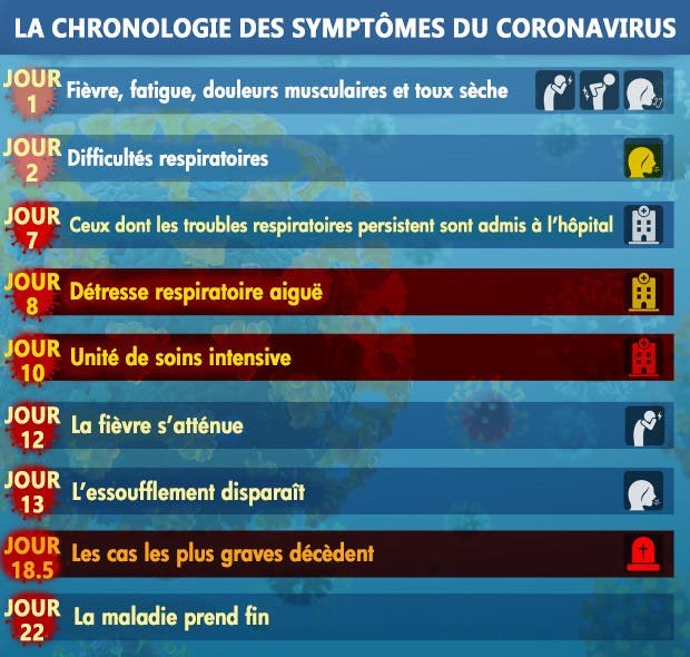 chronologie coronavirus