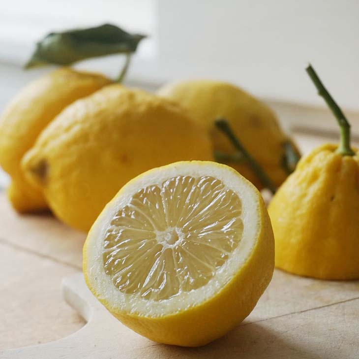 Zitrone entsorgen