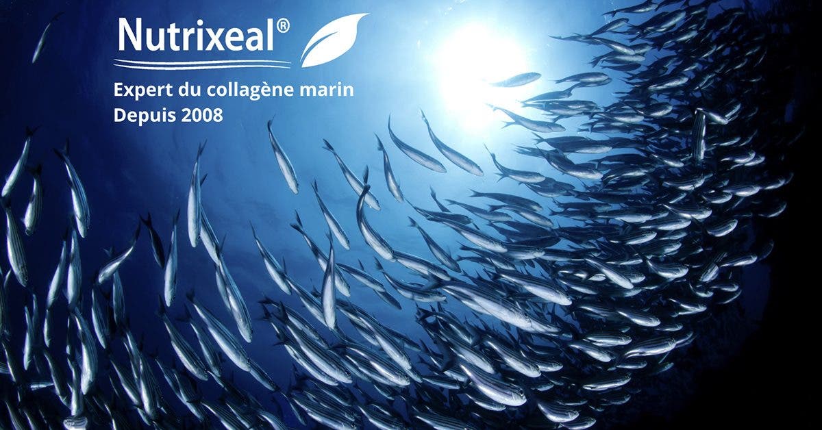Collagène marin : la protéine aux multiples bienfaits pour votre corps