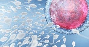 comment augmenter la quantite des spermatozoides 1