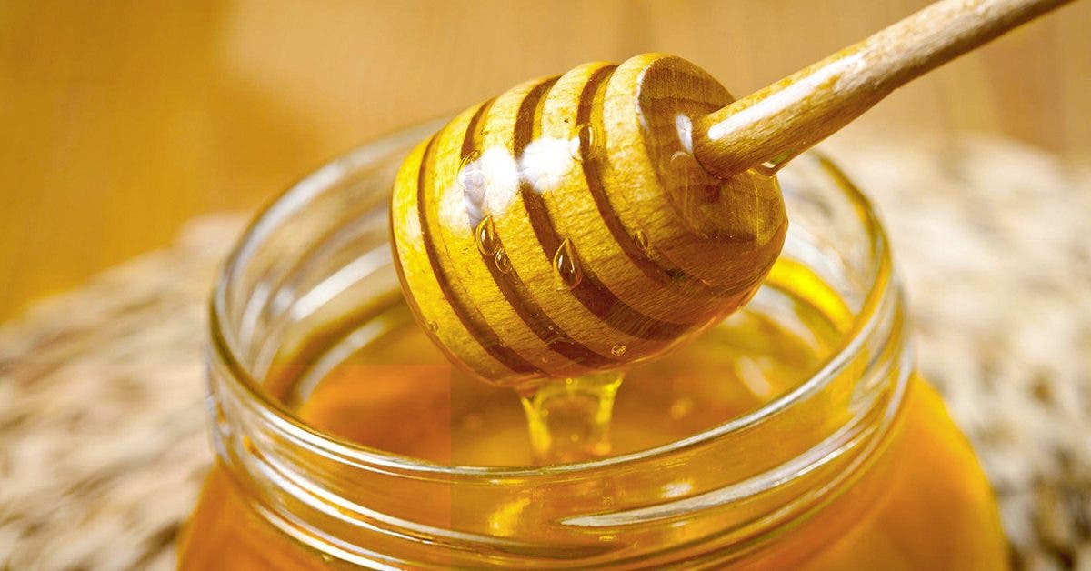 Comment bien le conserver le miel pour préserver toutes ses qualités ?