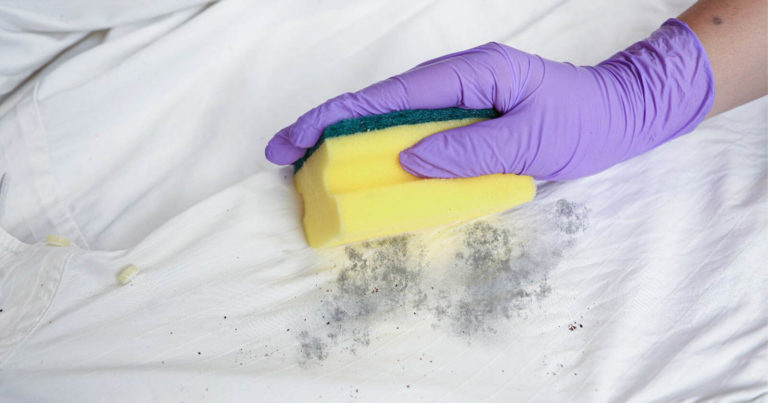 Comment enlever la moisissure d’un tissu en toute sécurité ? 12 astuces