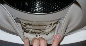 comment enlever les moisissures dangereuses et les odeurs desagreables de votre machine a laver 1
