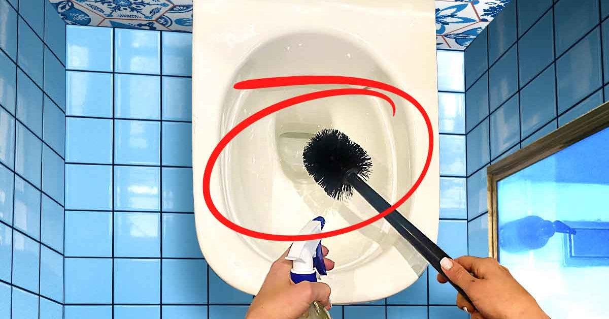 comment nettoyer et désinfecter la brosse des WC 0020012