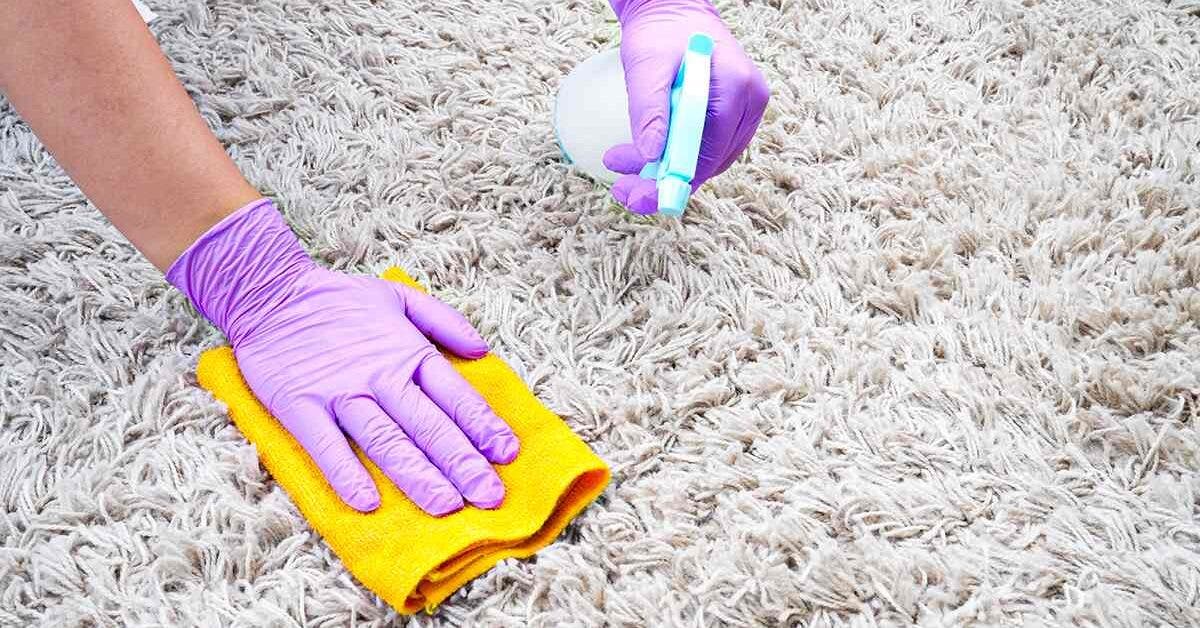 Comment nettoyer un tapis en laine en 5 étapes