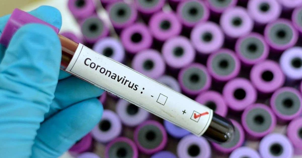coronavirus-les-personnes-du-groupe-sanguin-a-sont-ils-plus-vulnerables