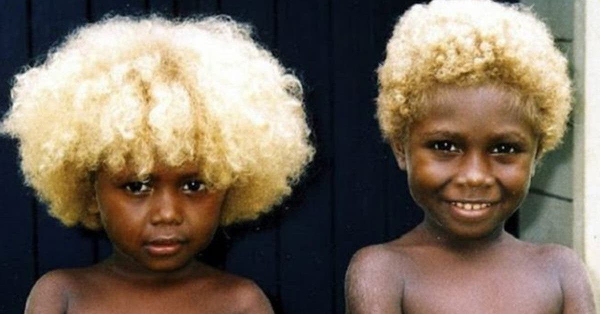 des-images-epoustouflantes-des-melanesiens-les-seuls-blonds-a-la-peau-noire-naturels-sur-terre