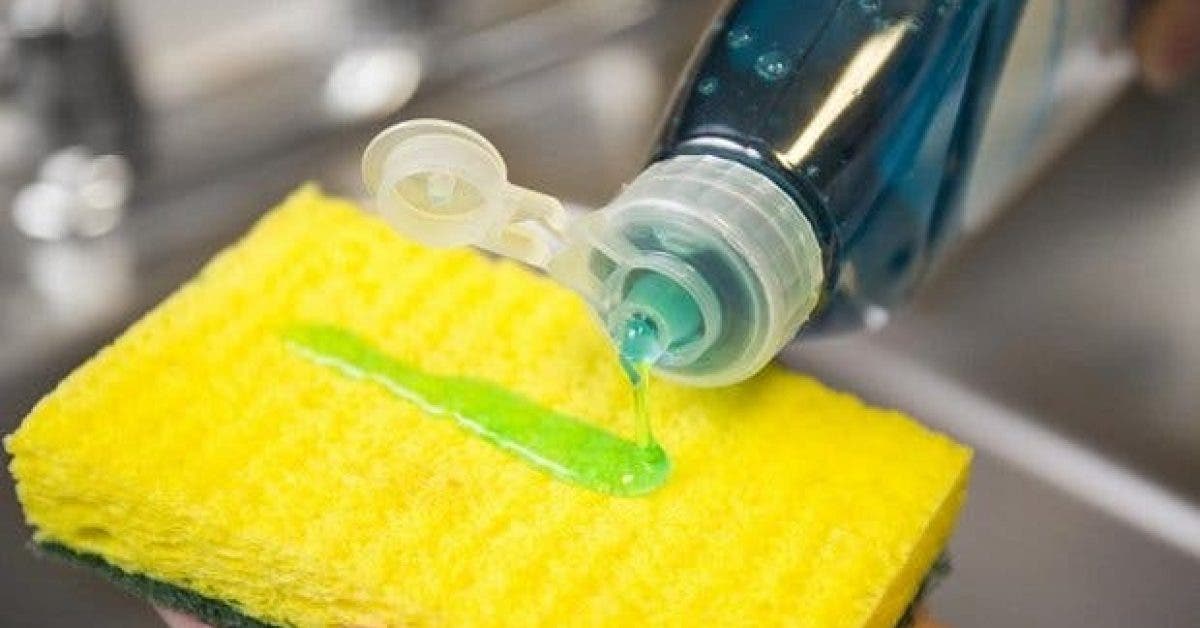 des millions de bacteries se developpent dans votre eponge a vaisselle voici comment stopper leur proliferation 1