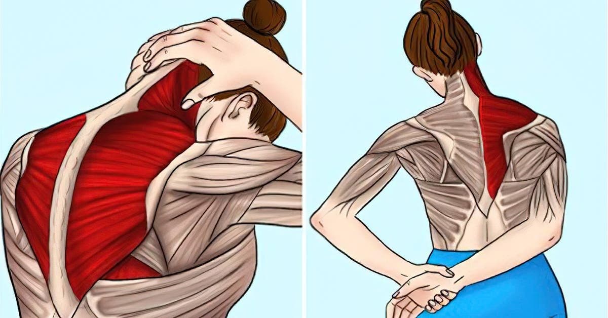 7 exercices simples et efficaces pour soulager les douleurs cervicales et réduire les tensions