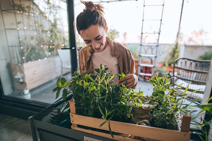 hacer crecer las plantas