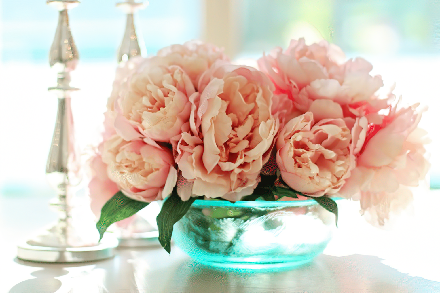 10 motivi per usare l'aceto bianco per curare il tuo giardino 9 fiori 1