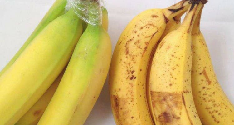 fraicheur plus longues des bananes