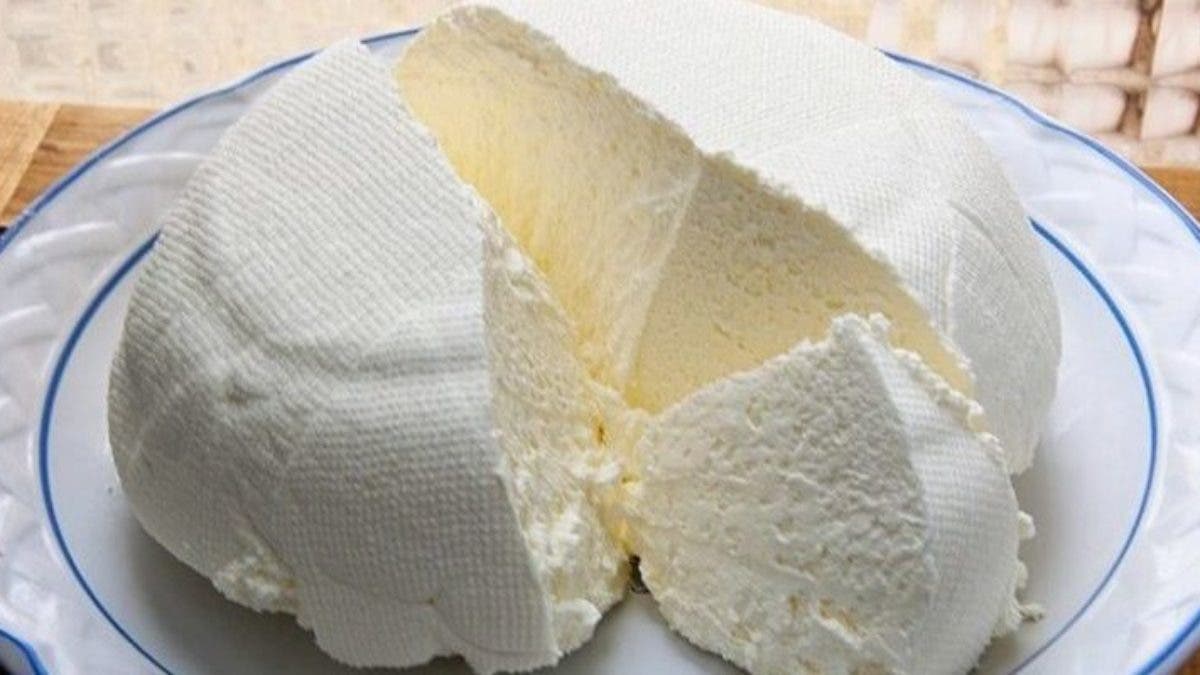formaggio fatto in casa1