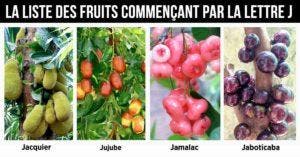 Fruit en J : la liste des fruits commençant par la lettre J