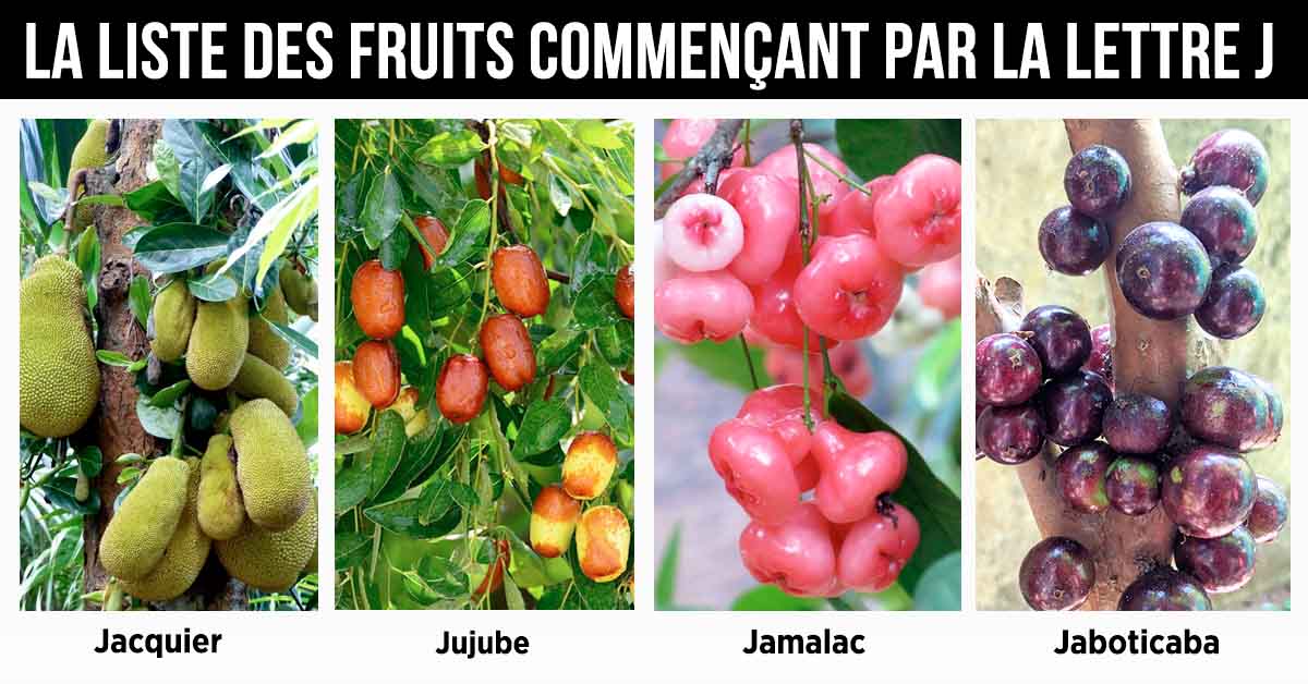 Fruit en J : la liste des fruits commençant par la lettre J