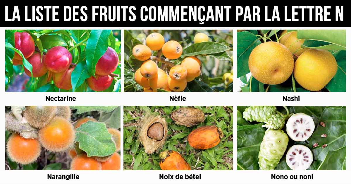 Fruit en N : la liste des fruits commençant par la lettre N