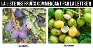 Fruit en Q : la liste des fruits commençant par la lettre Q