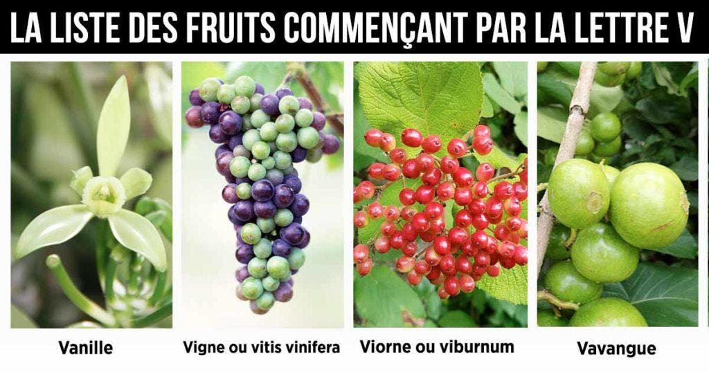 Fruit en V la liste des fruits commençant par la lettre V