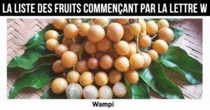 Fruit en W : la liste des fruits commençant par la lettre W
