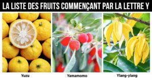 Fruit en Y : la liste des fruits commençant par la lettre Y