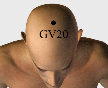 gv20