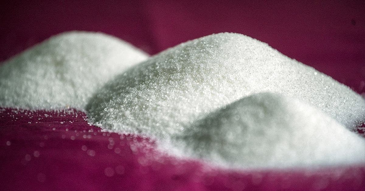 il y a 50 ans lindustrie du sucre a paye des scientifiques pour falsifier leurs resultats et accuser les graisses 1
