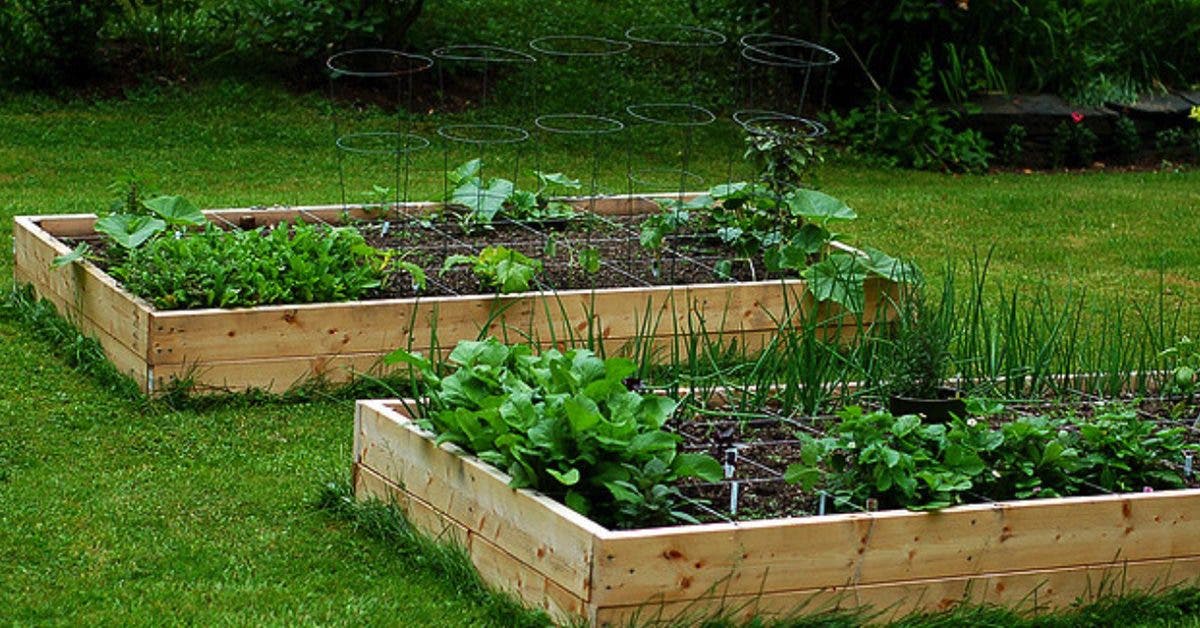 jardin-sureleve--comment-le-construire-en-6-etapes-simples