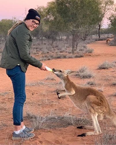 Un kangourou sauvé
