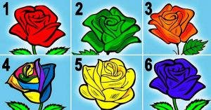 la rose que vous choisirez revelera de beaux secrets sur votre personnalite 1 1