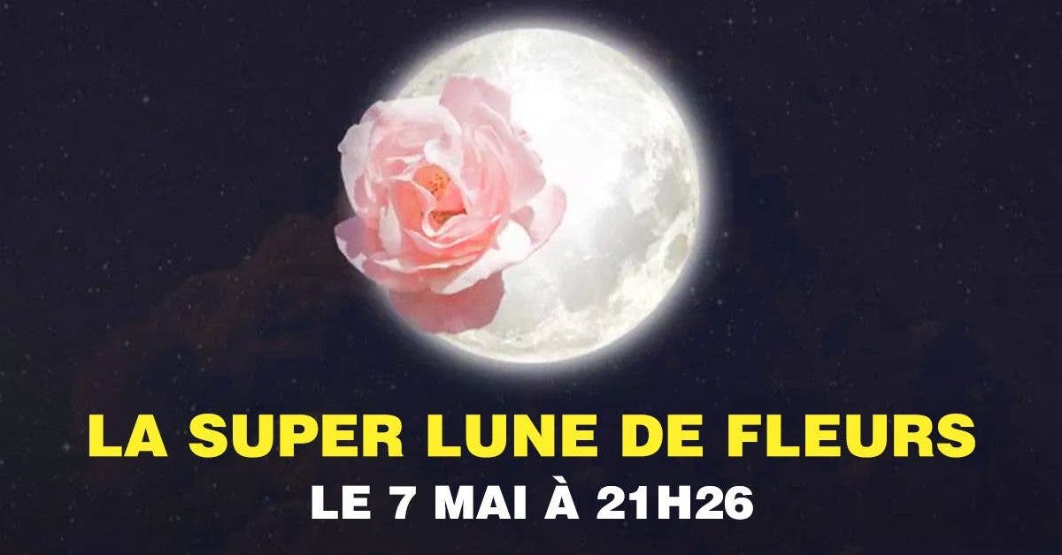 la-super-lune-des-fleurs-preparez-vous-a-un-changement-denergie-massif-ce-7-mai-2020