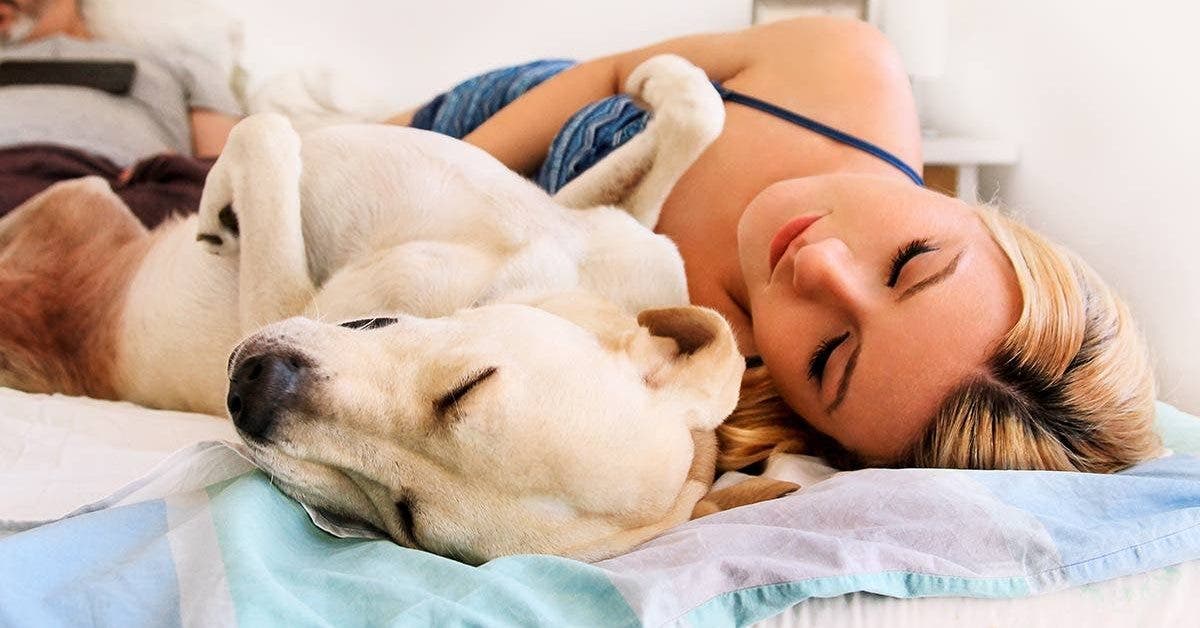 les femmes dorment mieux avec un chien qu’avec un homme dans leur lit