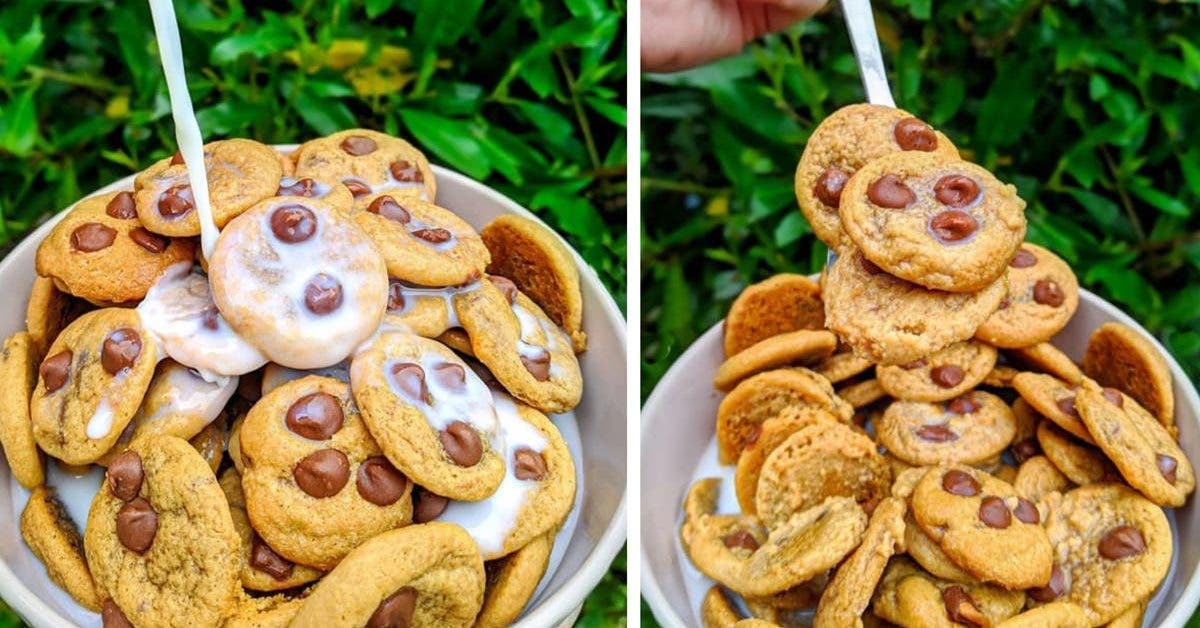 les-gens-transforment-de-minuscules-cookies-en-cereales-pour-le-petit-dejeuner-et-cest-la-nouvelle-tendance-la-plus-en-vogue-sur-tik-tok