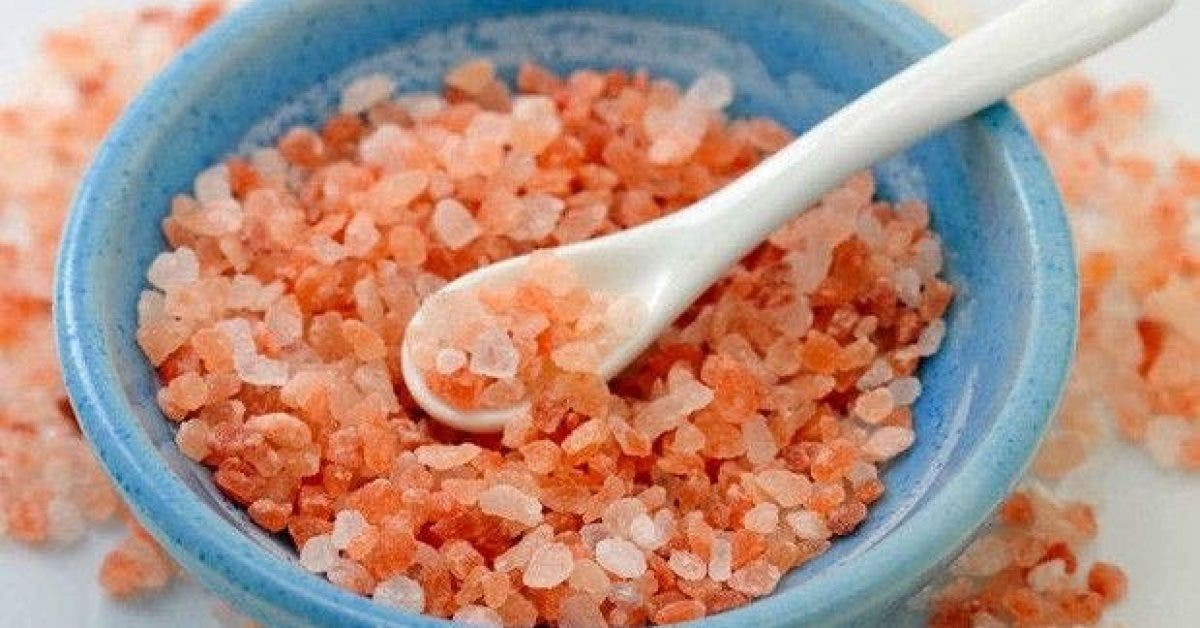 les incroyables bienfaits et les utilisations du sel rose de lhimalaya 1
