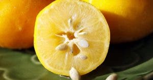 les pepins de citron sont la nouvelle tendance pour perdre du poids voici comment les preparer 1