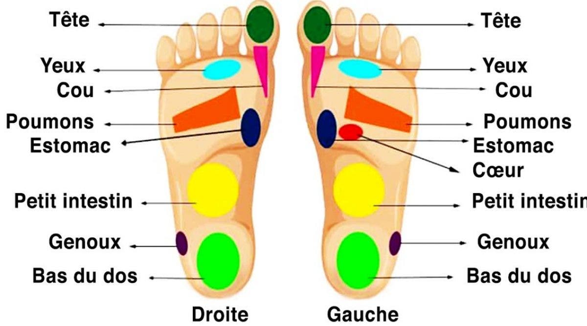 les-pieds-sont-relies-a-tous-les-organes-et-chaque-douleur-peut-etre-soigne-en-massant-les-pieds