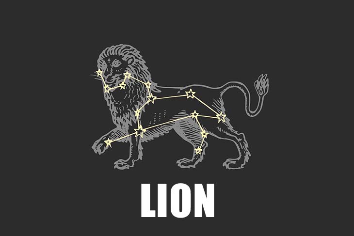 lion