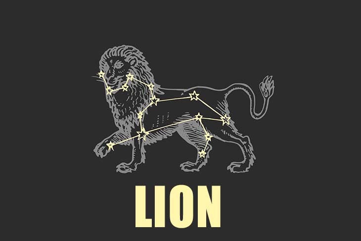 lion honnete