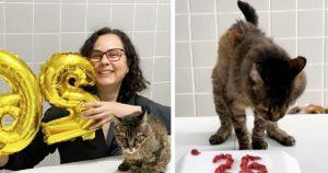 Malinha : Le chat miraculé qui a défié le destin pour vivre 26 ans