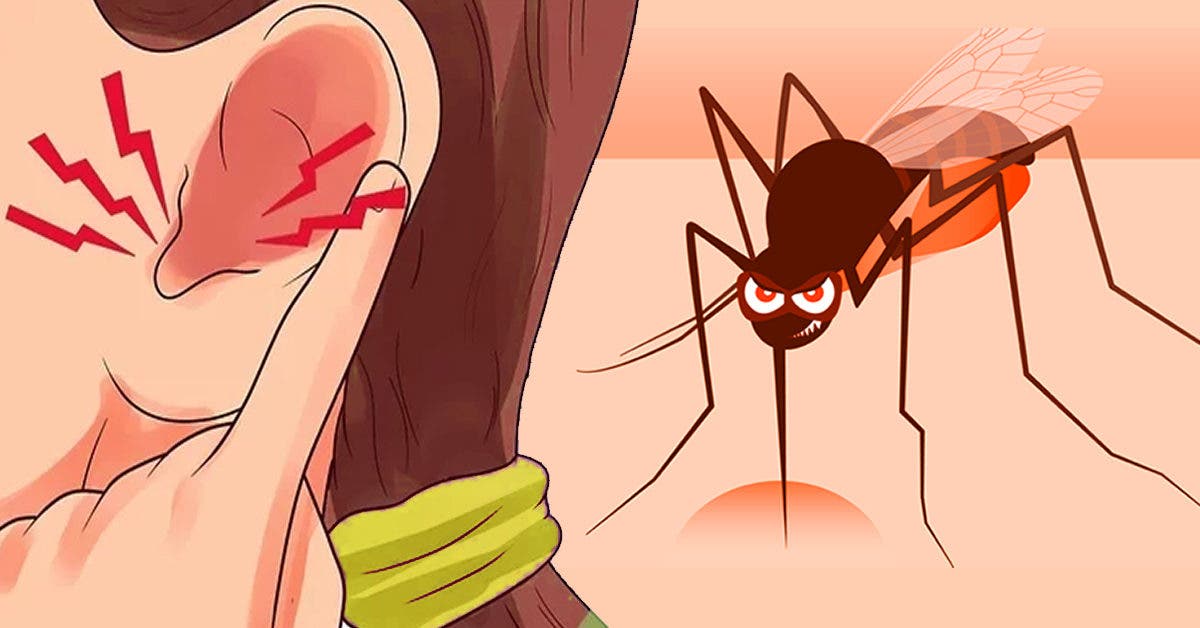 Pourquoi les moustiques aiment-ils bourdonner dans nos oreilles ?