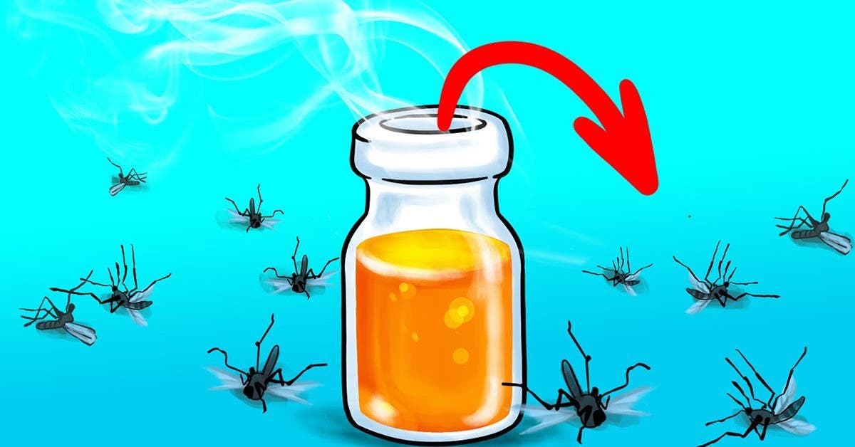 Comment éloigner les moustiques naturellement ? Vous ne les verrez plus