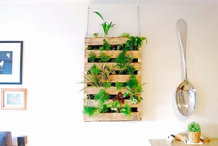 mur vegetal maison