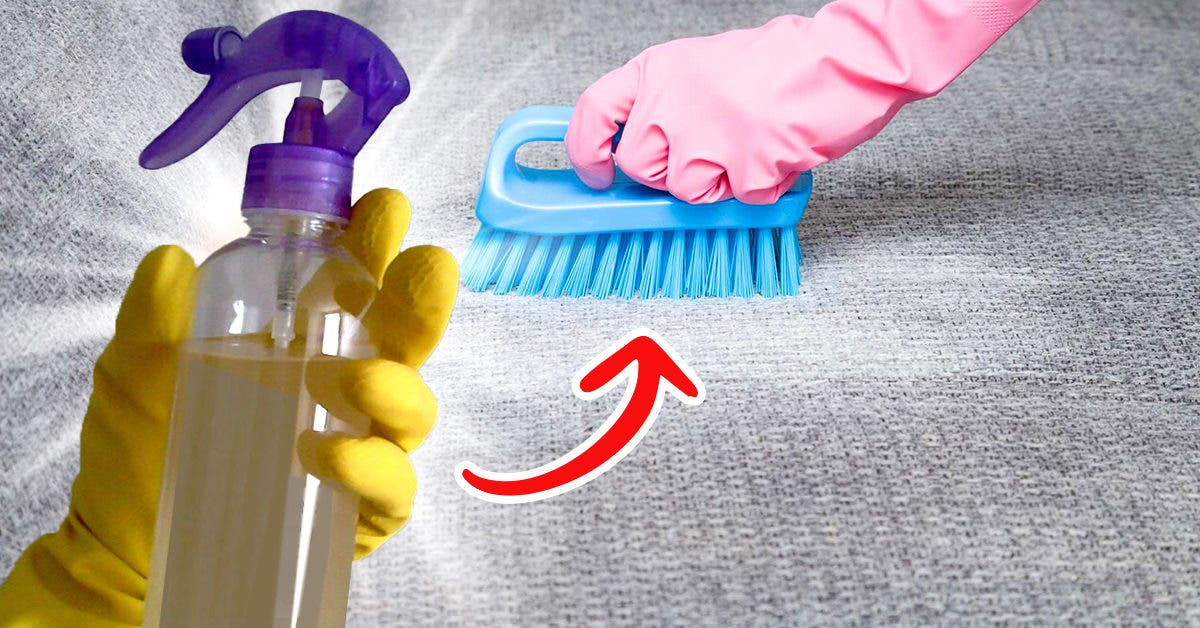 Astuce maison pour un nettoyage à sec du canapé : nettoie, désinfecte et neutralise les odeurs