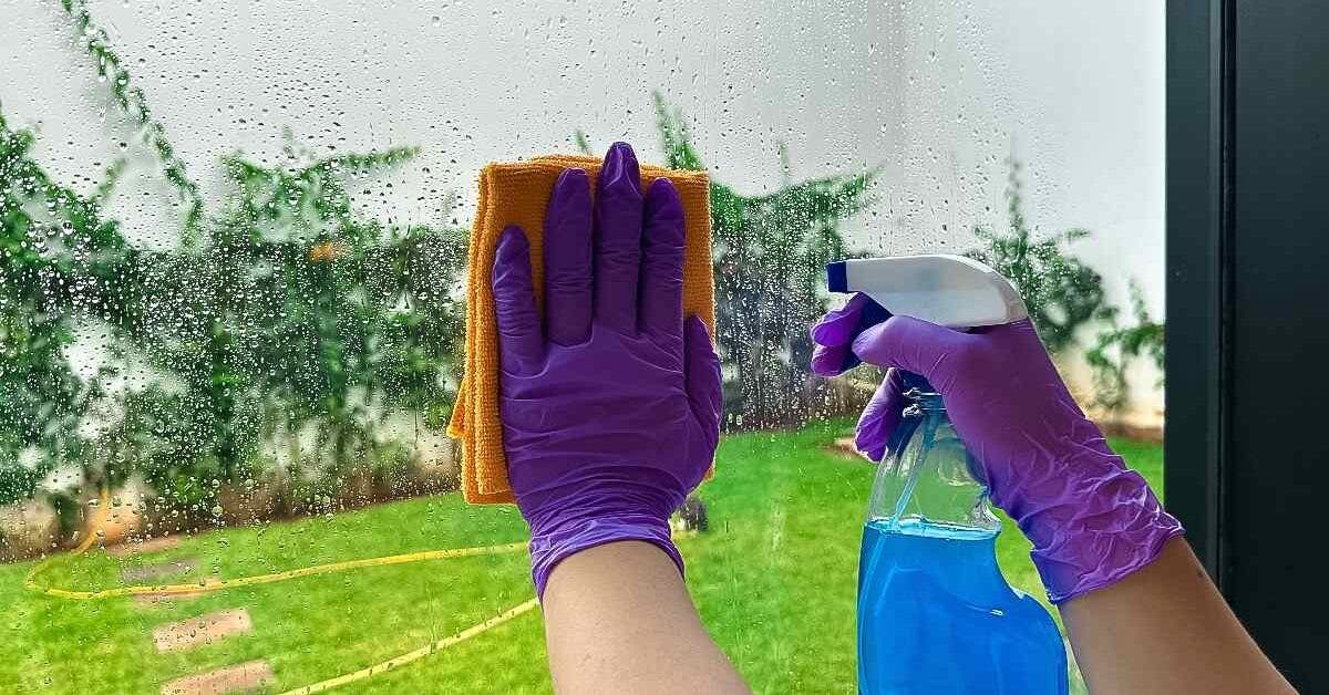 Nettoyez vos vitres pour un résultat sans traces : le guide étape par étape