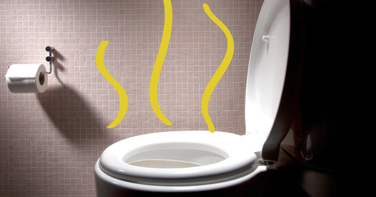 9 façons de se débarrasser de l’odeur de pipi dans les toilettes