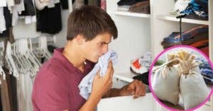 Apprenez à éliminer l'odeur de moisi du placard pour que vos vêtements sentent toujours bon