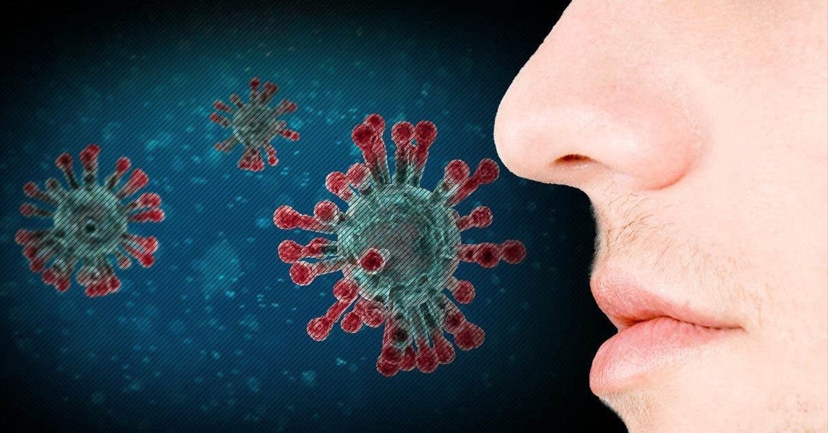oui-la-perte-du-gout-et-de-lodorat-sont-des-symptomes-du-nouveau-coronavirus-ainsi-que-14-autres-symptomes