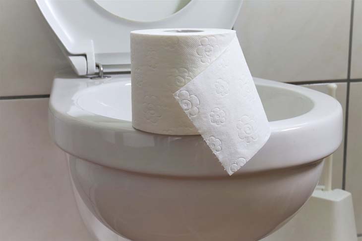 papier toilette posé