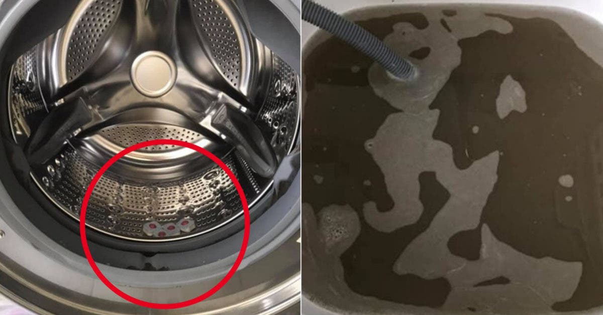 Voici pourquoi vous devriez mettre 4 pastilles pour lave vaisselles dans votre machine à laver