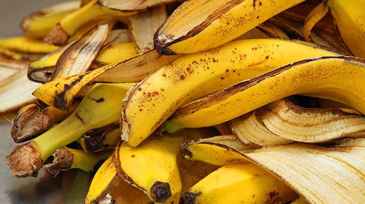 peaux de bananes