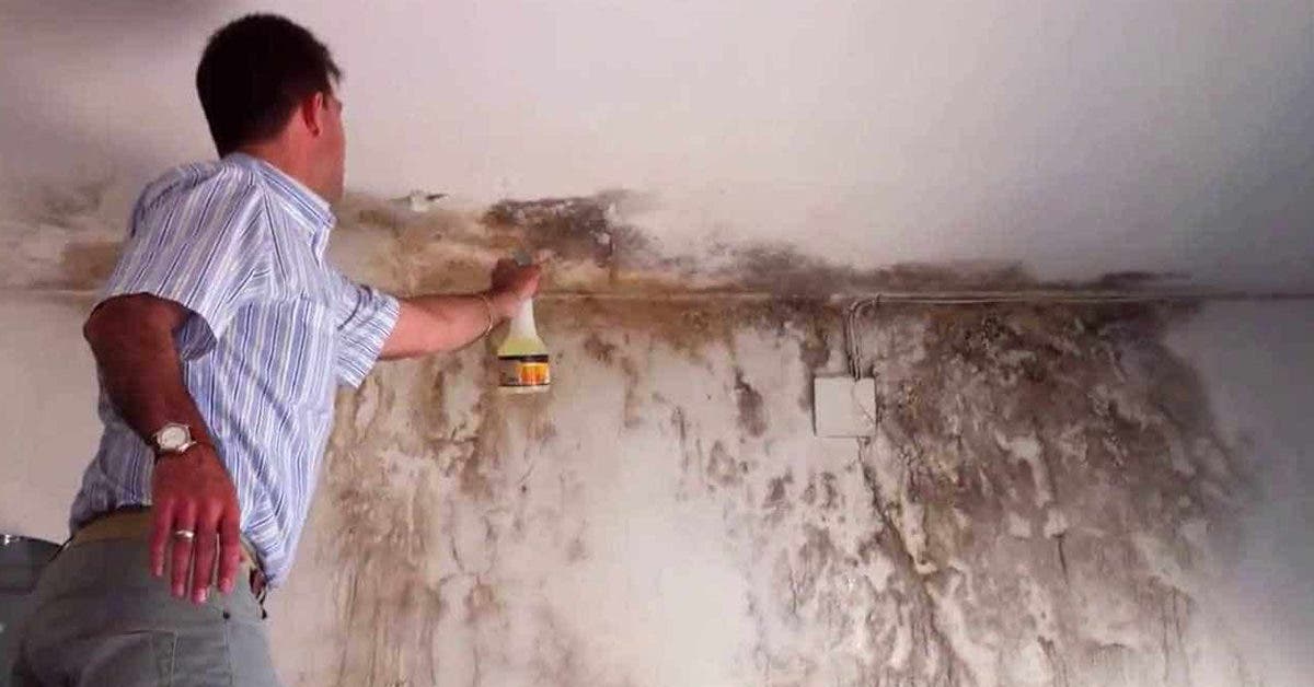 10 astuces pour enlever les taches d’humidité sur les murs peints